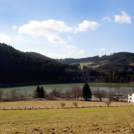 Apartamento Fewo Hoher Eimberg Niedersfeld Winterberg Exterior foto